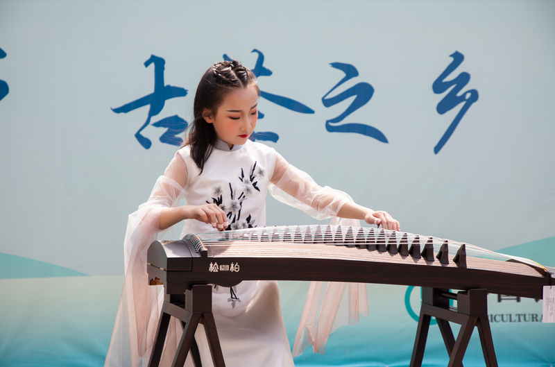 关于首届贵州古茶文化节今日在毕节市七星关区开幕，翟虎渠会长出席并致辞的信息(8)