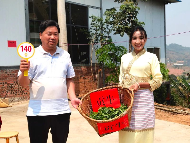 有关于思茅港镇寻味老安寨揭秘贡茶园暨老安寨2023年开采节如约而至！的相关内容(8)