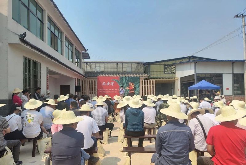 有关于思茅港镇寻味老安寨揭秘贡茶园暨老安寨2023年开采节如约而至！的相关内容(6)