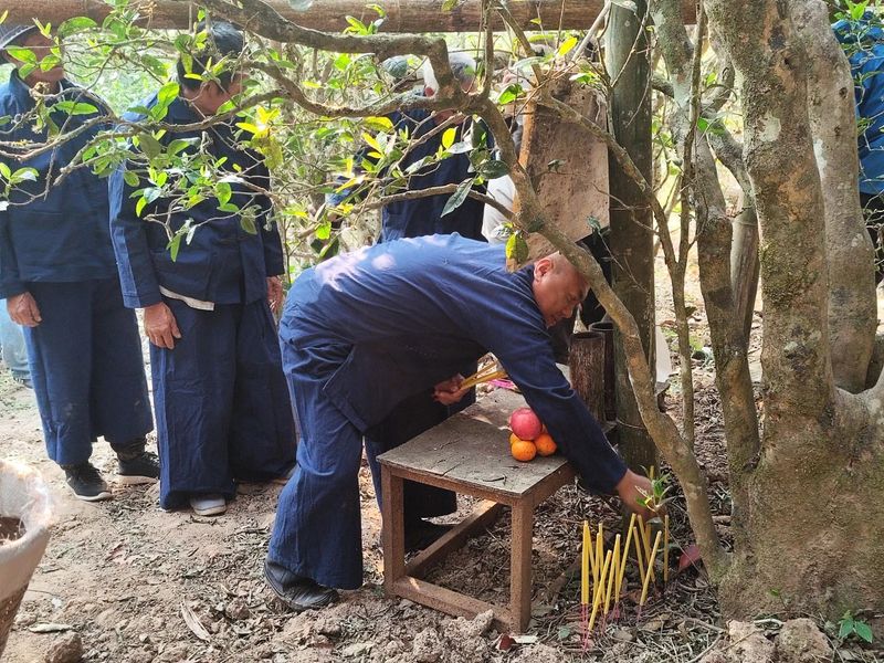 有关于思茅港镇寻味老安寨揭秘贡茶园暨老安寨2023年开采节如约而至！的相关内容