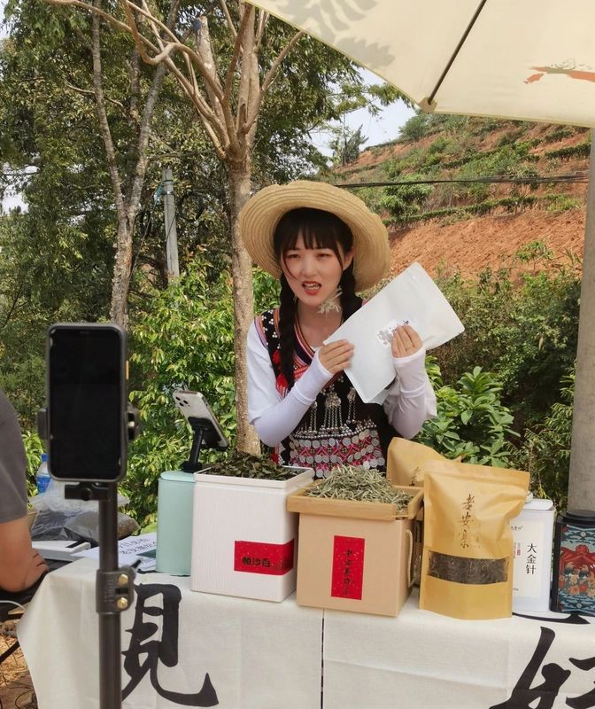 有关于思茅港镇寻味老安寨揭秘贡茶园暨老安寨2023年开采节如约而至！的相关内容(11)