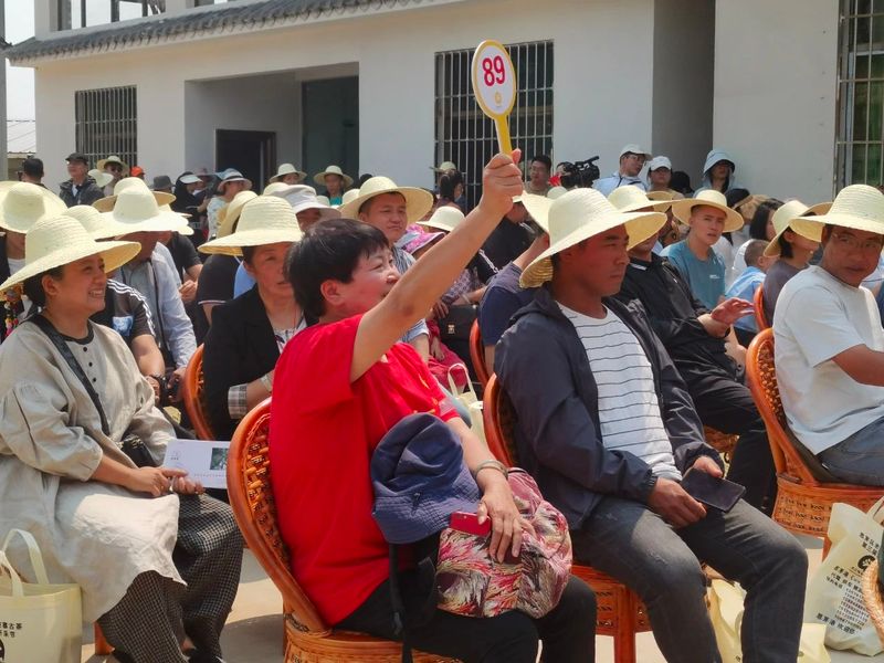 有关于思茅港镇寻味老安寨揭秘贡茶园暨老安寨2023年开采节如约而至！的相关内容(7)