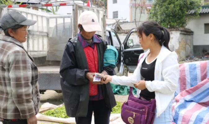 关于临沧凤庆县腰街乡:春茶丰收茶农笑的新闻(1)