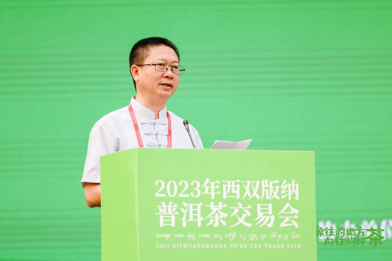 有关于70州庆系列活动正式启动  2023年西双版纳普洱茶交易会盛大开幕的新闻(5)