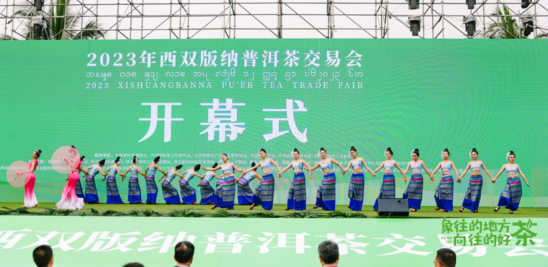 有关于70州庆系列活动正式启动  2023年西双版纳普洱茶交易会盛大开幕的新闻