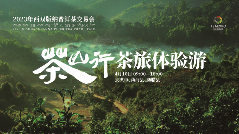 有关于70州庆系列活动正式启动  2023年西双版纳普洱茶交易会盛大开幕的新闻(18)