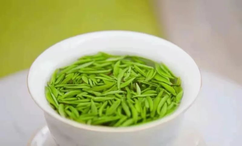 关于朴初故里，太美太湖！第二届大别山天华谷尖茶文化旅游节隆重举办的消息(9)