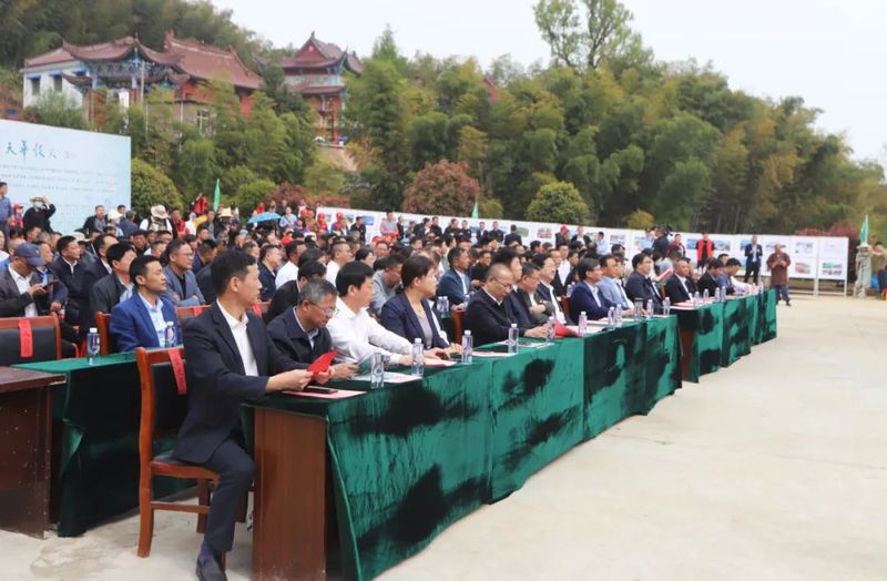 关于朴初故里，太美太湖！第二届大别山天华谷尖茶文化旅游节隆重举办的消息