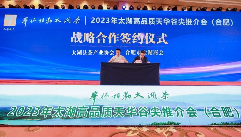 有关于举杯相劝太湖茶!2023年太湖高品质天华谷尖推介会今日在合肥成功举办的信息(6)