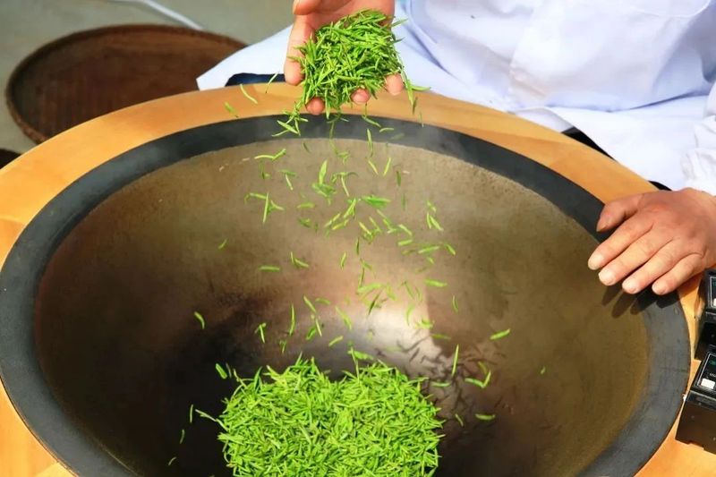 有关于举杯相劝太湖茶!2023年太湖高品质天华谷尖推介会今日在合肥成功举办的信息(4)