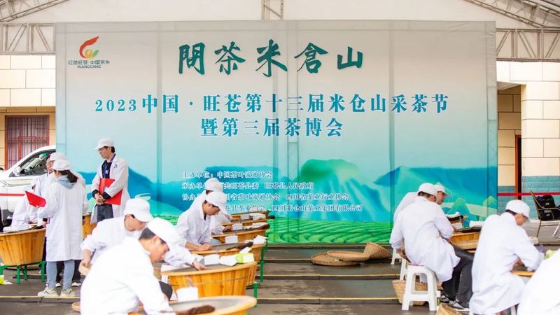 关于春到旺苍茶韵浓,采茶制茶各显神通的消息(5)