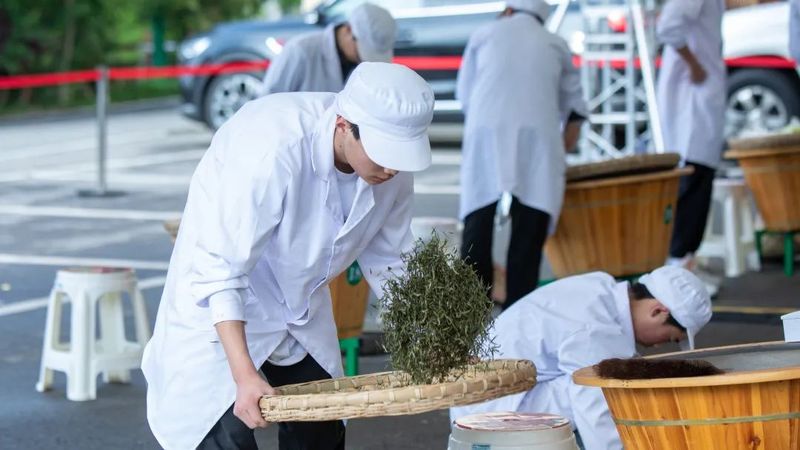 关于春到旺苍茶韵浓,采茶制茶各显神通的消息(7)