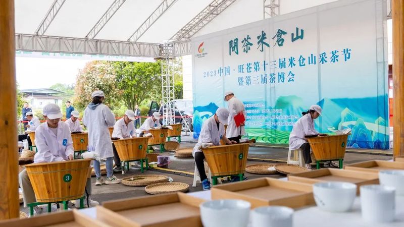 关于春到旺苍茶韵浓,采茶制茶各显神通的消息(6)