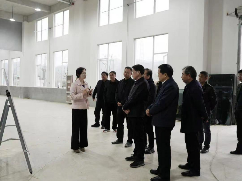 关于杨光荣来祁门县调研茶产业发展条例立法工作的相关信息