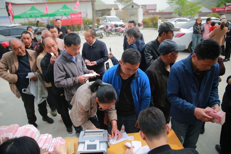 关于上山收鲜叶 下村送现金 茶农说今年鲜叶价格是历年来最高的相关信息(8)