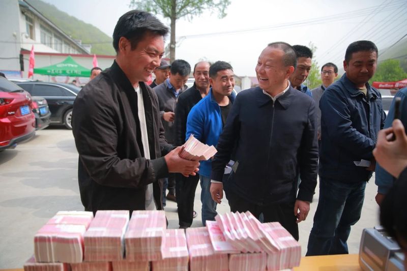 关于上山收鲜叶 下村送现金 茶农说今年鲜叶价格是历年来最高的相关信息(4)