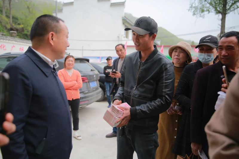 关于上山收鲜叶 下村送现金 茶农说今年鲜叶价格是历年来最高的相关信息(5)