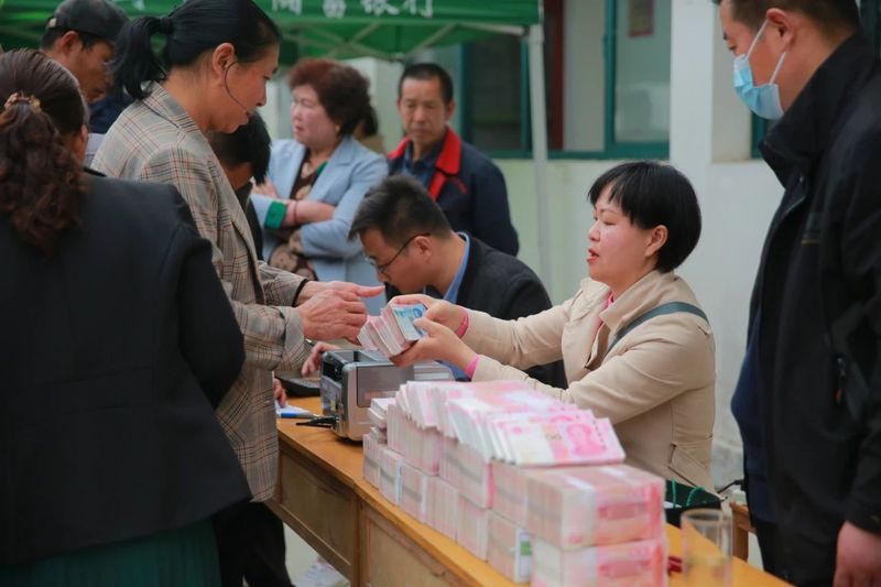 关于上山收鲜叶 下村送现金 茶农说今年鲜叶价格是历年来最高的相关信息(3)