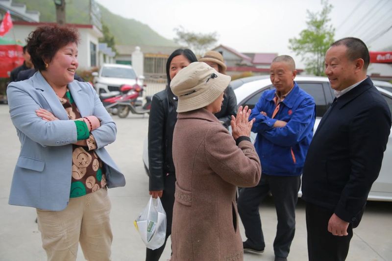 关于上山收鲜叶 下村送现金 茶农说今年鲜叶价格是历年来最高的相关信息(10)