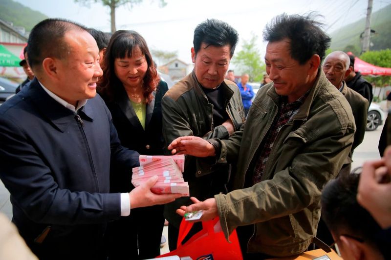 关于上山收鲜叶 下村送现金 茶农说今年鲜叶价格是历年来最高的相关信息(1)