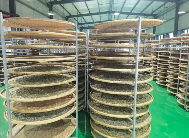 有关于无量山镇可保村：数字化赋能茶产业增收的消息(1)