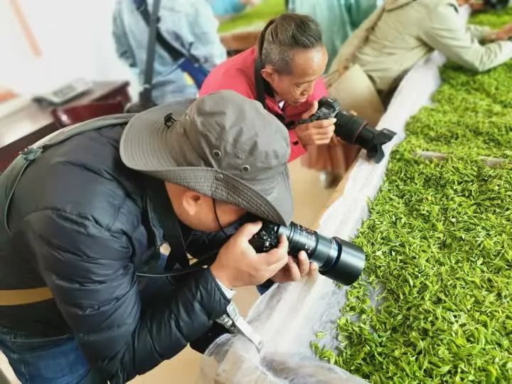 有关于“镇江茶”摄影大赛第一场采风活动走进江苏省现代农业高质量发展示范园的最新消息(5)