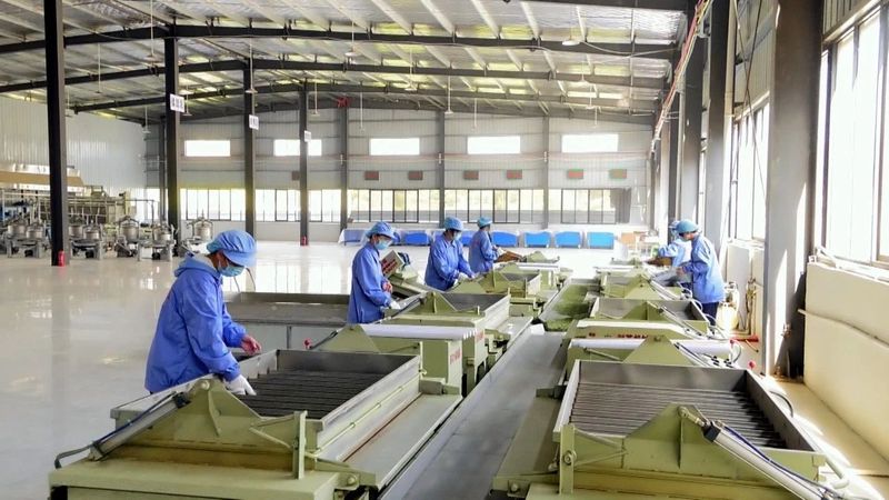 关于凤冈:标准化加工推动茶叶产业转型升级的信息(3)