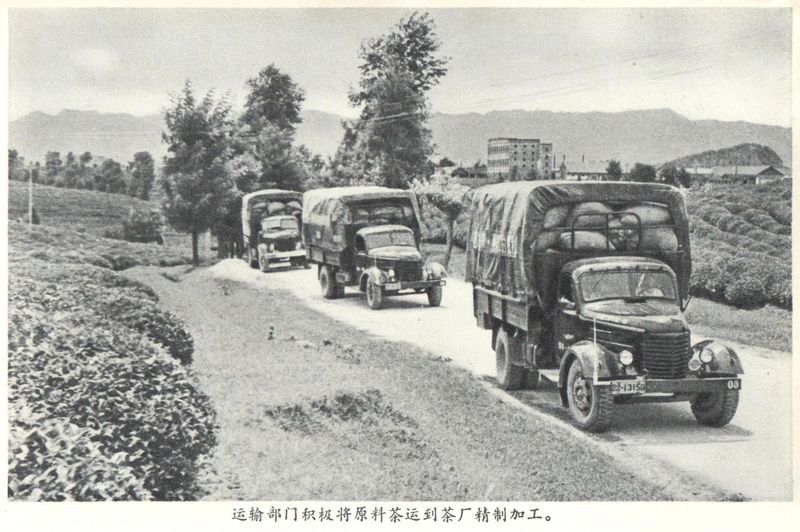 有关于小小叶子铺就乡村振兴大道——遵义市茶产业发展综述的相关信息(3)