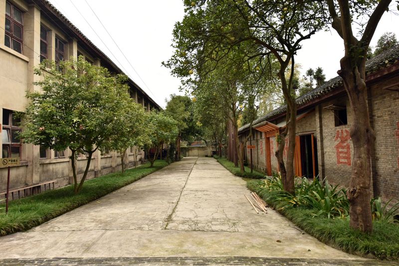 有关于小小叶子铺就乡村振兴大道——遵义市茶产业发展综述的相关信息(1)