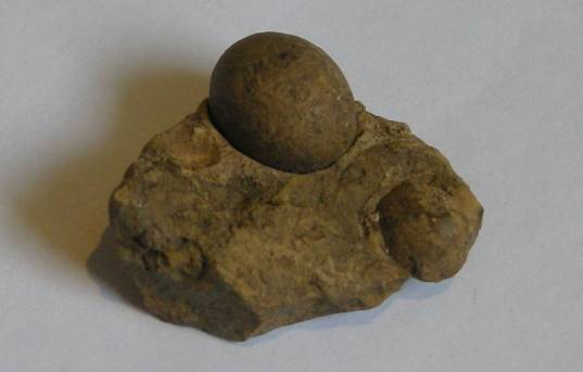 有关于小小叶子铺就乡村振兴大道——遵义市茶产业发展综述的相关信息(2)