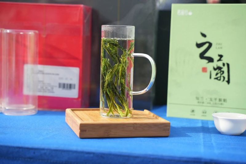 关于中国名茶太平猴魁正式开园！的内容(14)