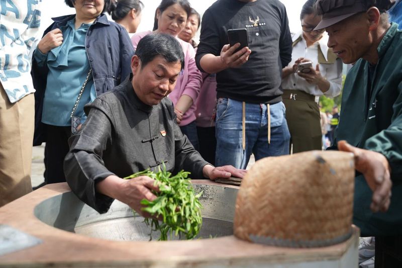 关于中国名茶太平猴魁正式开园！的内容(11)