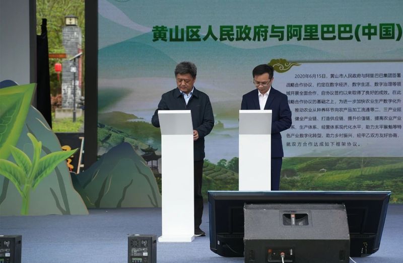 关于中国名茶太平猴魁正式开园！的内容(6)