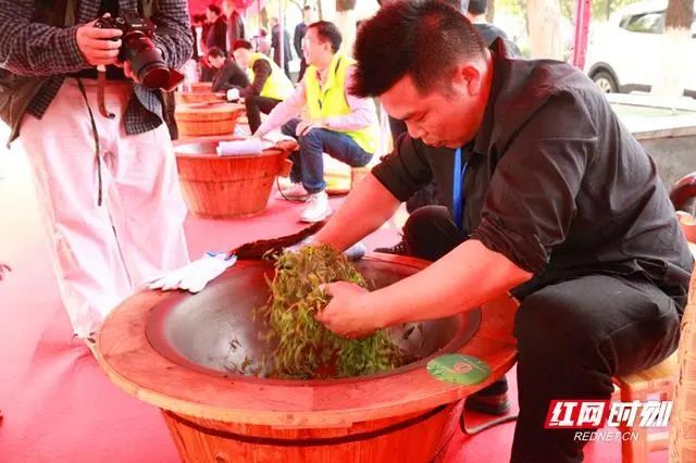 有关于衡阳市举行传统手工茶制作大赛的消息(5)