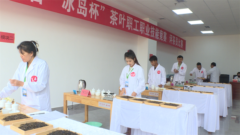 关于临沧首届“冰岛杯”茶叶职工职业技能竞赛在双江县举行的资讯