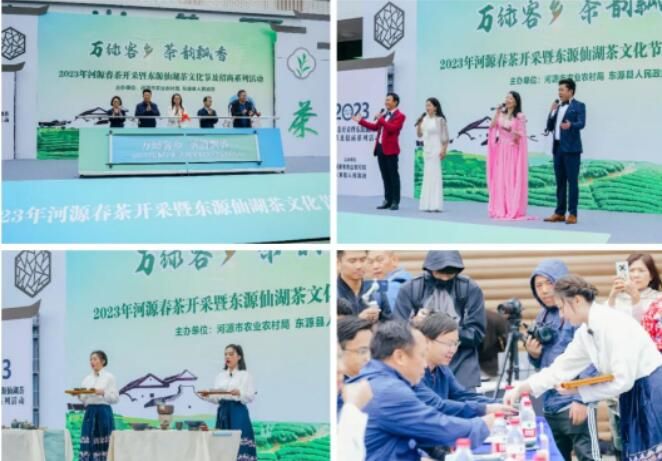有关于2023年河源春茶开采暨东源仙湖茶文化节及招商系列活动顺利举行的相关内容(3)