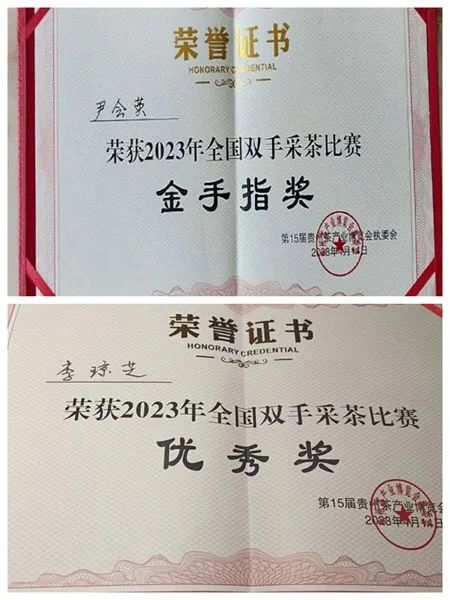 有关于云南茶叶所专家服务全国双手采茶比赛的消息(1)