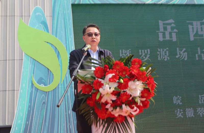 有关于岳西翠兰今日开园：“小绿叶”变“金叶” 托起富民强县大产业的内容(5)