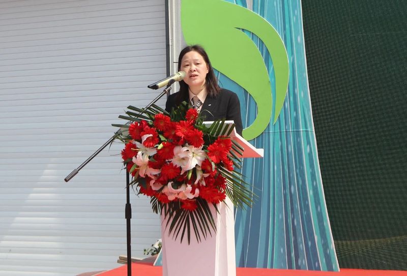 有关于岳西翠兰今日开园：“小绿叶”变“金叶” 托起富民强县大产业的内容(3)