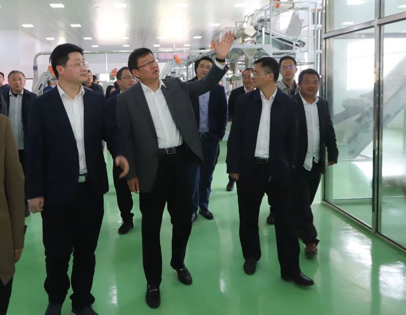 有关于岳西翠兰今日开园：“小绿叶”变“金叶” 托起富民强县大产业的内容(7)