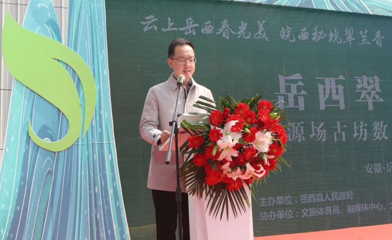 有关于岳西翠兰今日开园：“小绿叶”变“金叶” 托起富民强县大产业的内容(2)