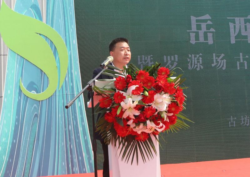 有关于岳西翠兰今日开园：“小绿叶”变“金叶” 托起富民强县大产业的内容(4)