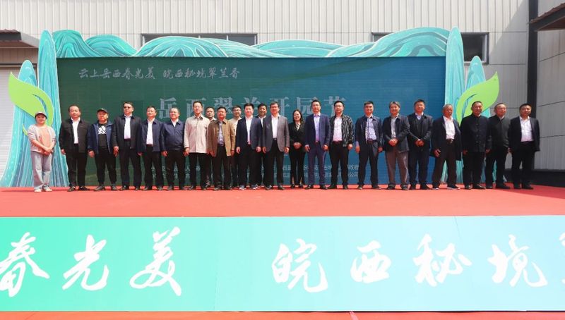 有关于岳西翠兰今日开园：“小绿叶”变“金叶” 托起富民强县大产业的内容