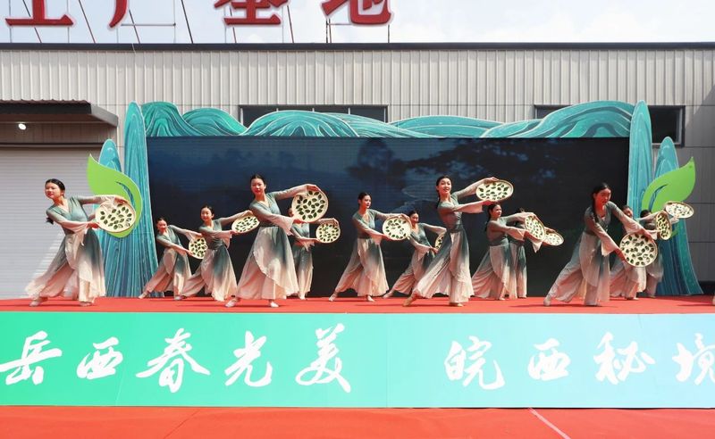 有关于岳西翠兰今日开园：“小绿叶”变“金叶” 托起富民强县大产业的内容(12)