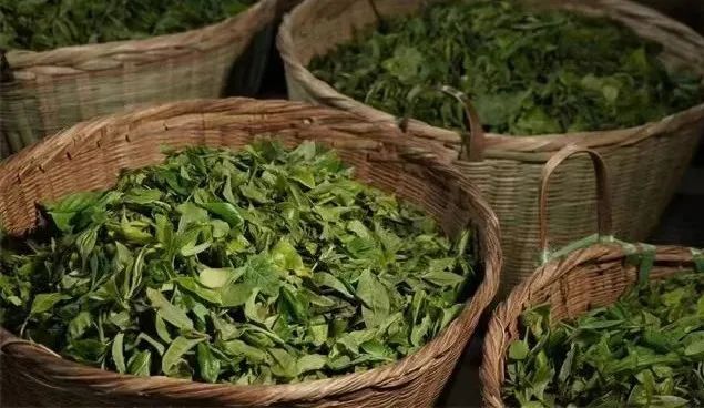 关于中国·双江第七届冰岛茶会引爆云南春茶季的信息(1)