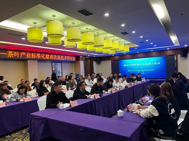 有关于助推茶叶产业发展，酉阳有妙招！的相关内容(4)