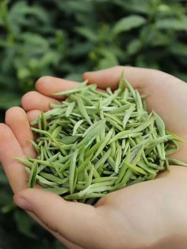 有关于税惠落地沃润茶企的相关内容(2)