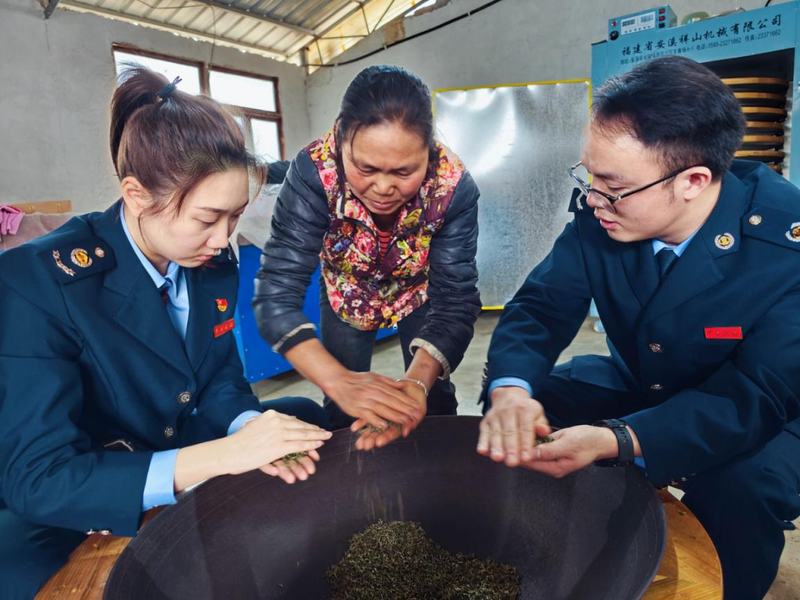 有关于税惠落地沃润茶企的相关内容(3)