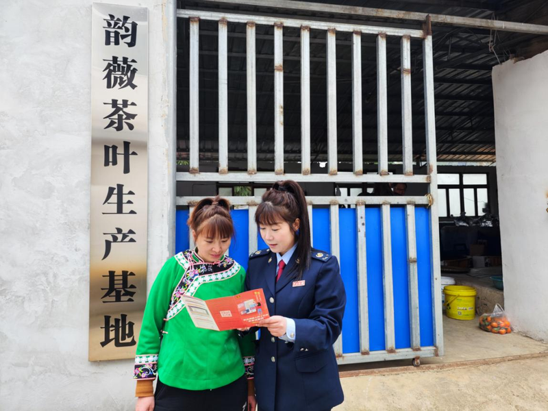 有关于税惠落地沃润茶企的相关内容(1)