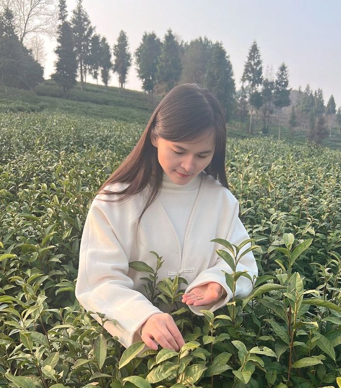 有关于税惠落地沃润茶企的相关内容(4)